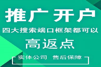 百度竞价广告的关键词策略与优化——以某行业为例